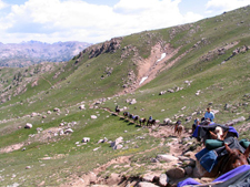 USA-Colorado-Weminuche Wilderness Pack Trip